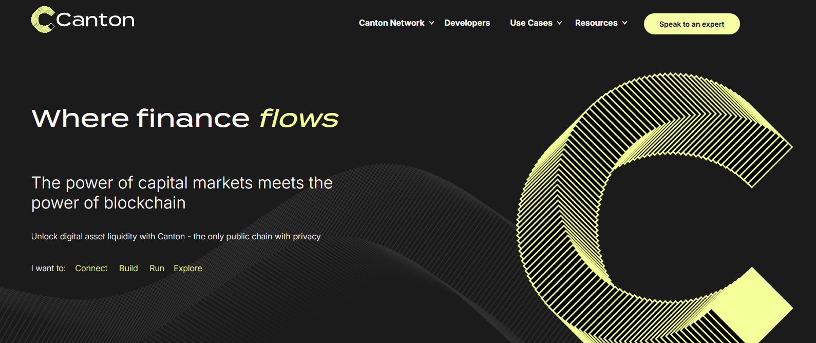 Canto Network là gì